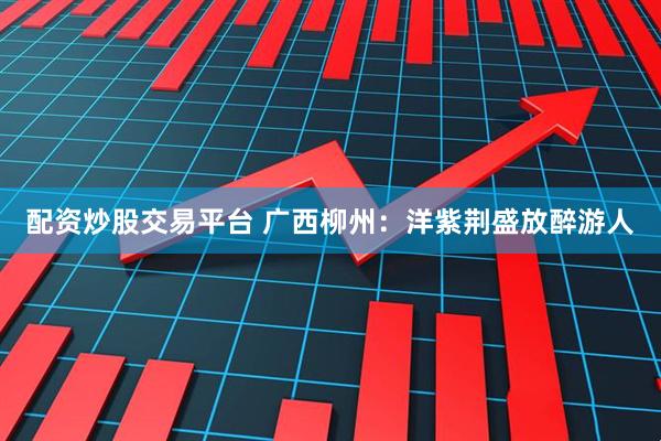 配资炒股交易平台 广西柳州：洋紫荆盛放醉游人
