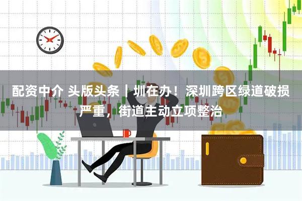 配资中介 头版头条｜圳在办！深圳跨区绿道破损严重，街道主动立项整治