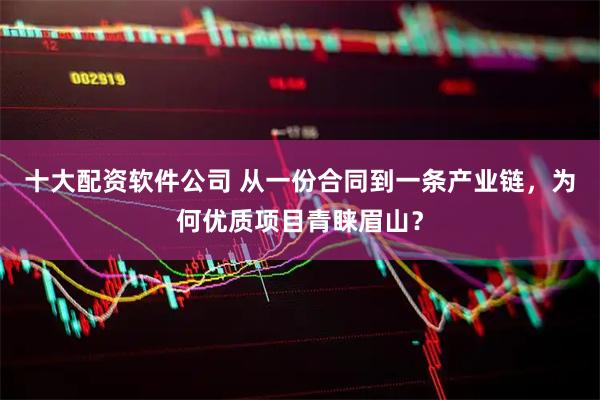 十大配资软件公司 从一份合同到一条产业链,为何优质项目青睐眉山?